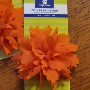 Orange flower collar accessory